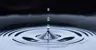 kishix's Avatar