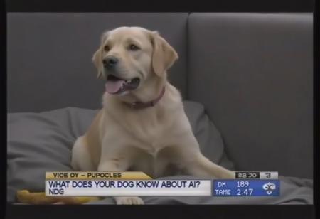 vhslora,the image shows a news report about dogs in the 90s recorded on an old VHS tape. The bottom of the image has a news ticker bar with the text "What does your dog know about AI?"