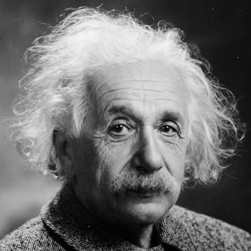 face-einstein-512-grayscale.webp