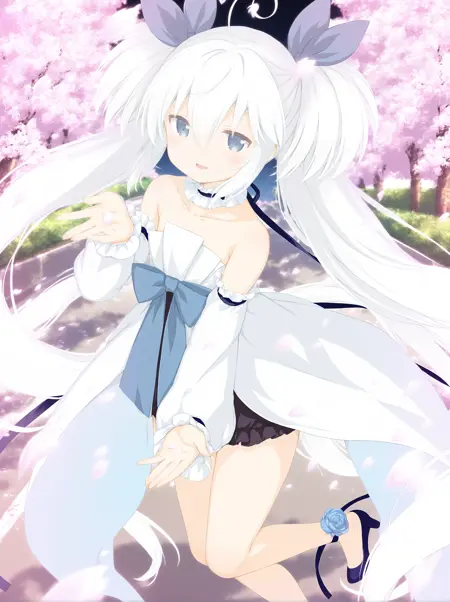 真白 ましろ (mashiro) | 樱花萌放 さくら、もゆ (sakura moyu)