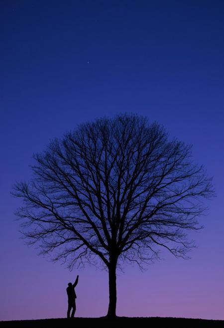 Twilight's Embrace in Minimalism: As twilight descends, frame a person's silhouette near a slender tree, its branches reaching towards the fading light. The darkening sky transitions from deep blue to a subtle gradient of purple, creating a minimalist backdrop that enhances the sense of peace and serenity.