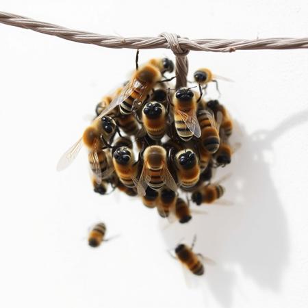 Well. I just need a lot of buzzes