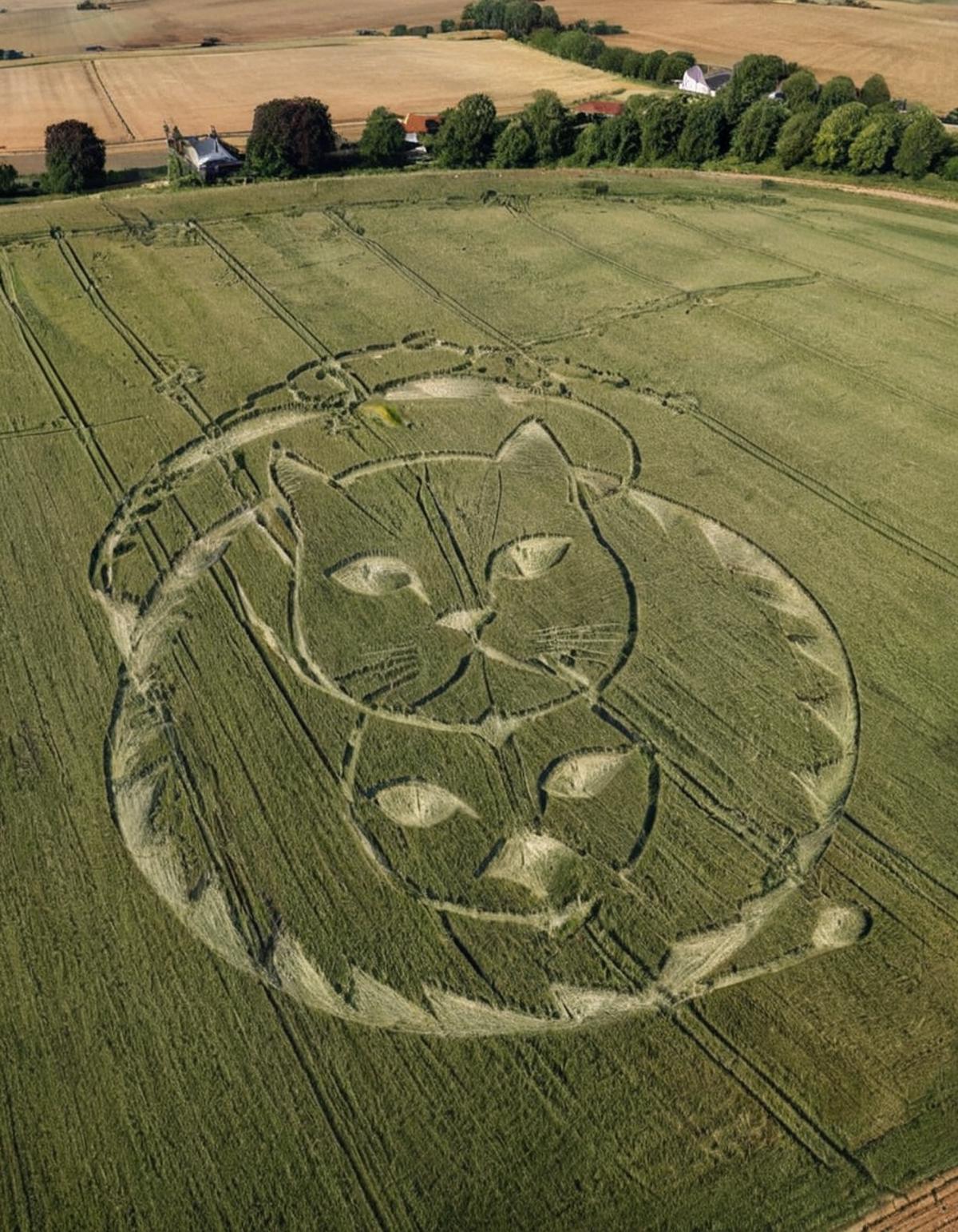 Crop circles image by OC__