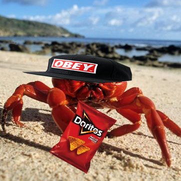MLGCrab's Avatar