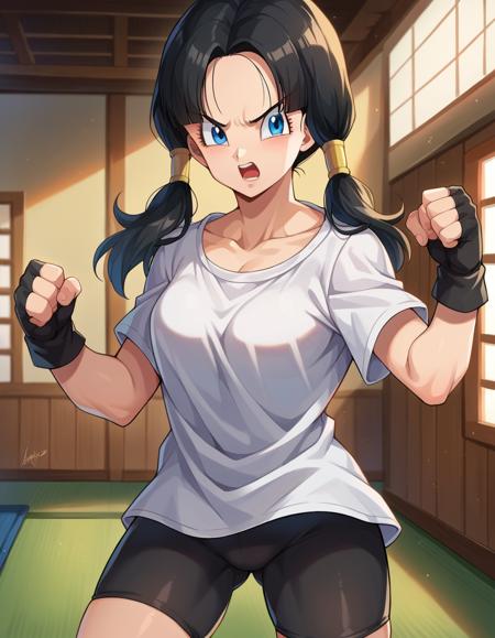 videl-d36a3-1251104519.png