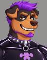 dron3mutt