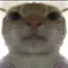 Xannix's Avatar