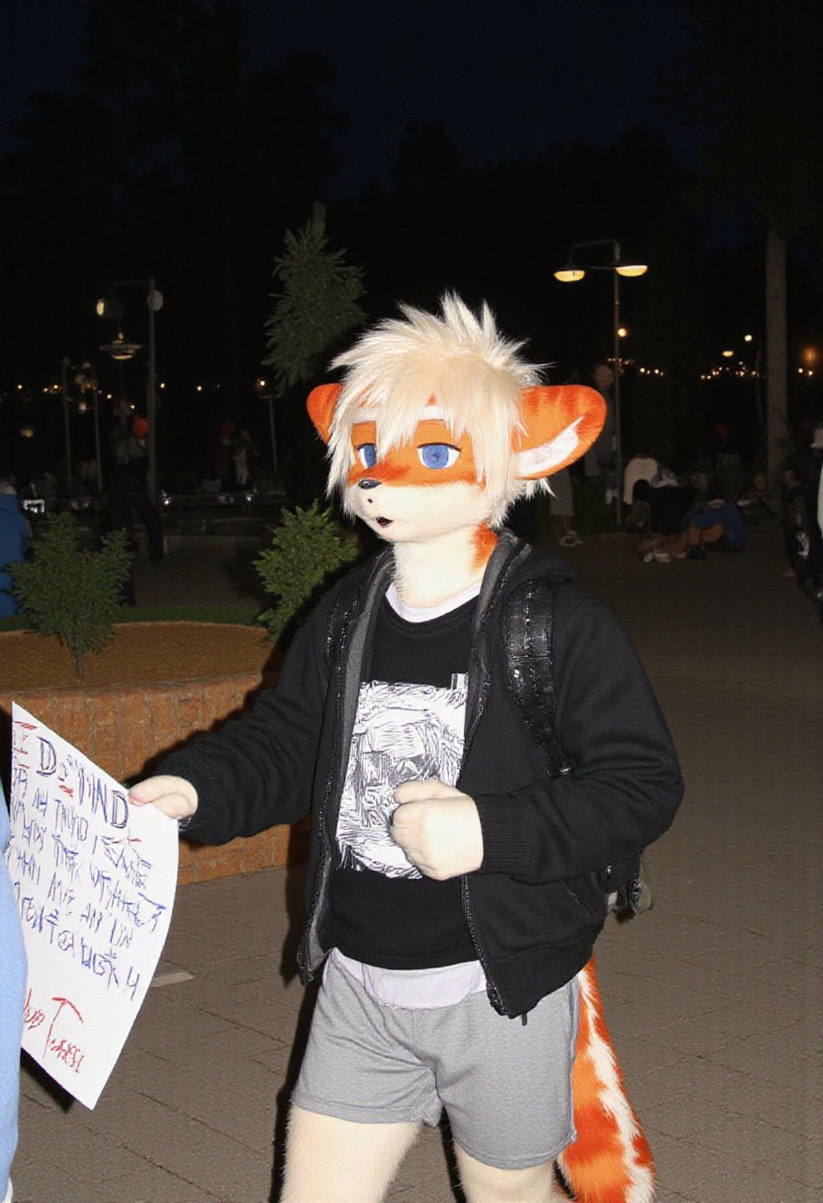 fursuit, fluffy body, furry costume, furry, A guy dressed in a fursuit walks in a park at night with a sign "I demand a Really Super Gay Lora. Therefore, give me Buzz", Fursuit milkytager, he has tiger ears and orange fur so fursuit has blue eyes, He is wearing a black sweater and grey shorts, young, white hair