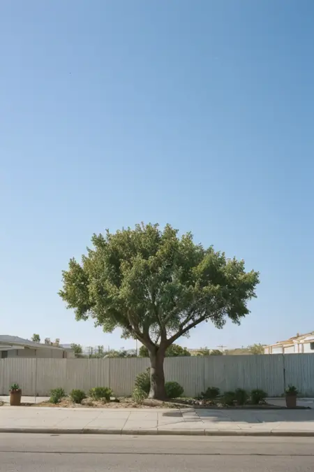 Kodak Portra | Film stock