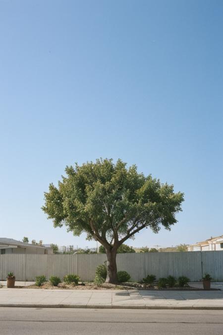Kodak Portra | Film stock Kodak Portra v12