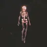 Luminoise's Avatar