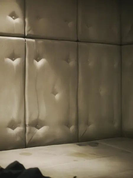 Kinky Hospital/Asylum/Padded wall