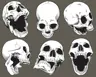 orxanehmedov908212's Avatar
