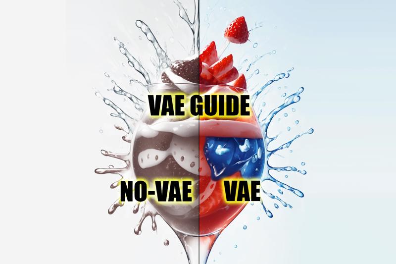 vaeguide.png