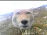 peterparquejug's Avatar