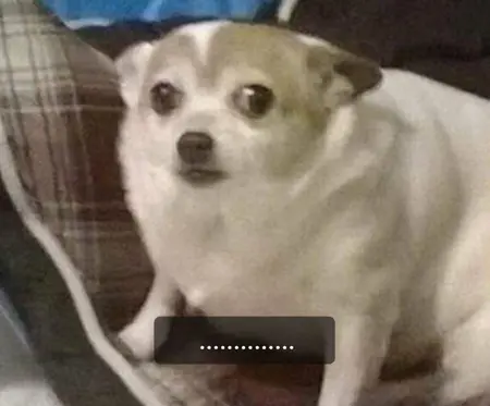 eisernengelv2's Avatar