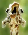 ohyathelarry's Avatar