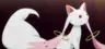 shirokitsune's Avatar