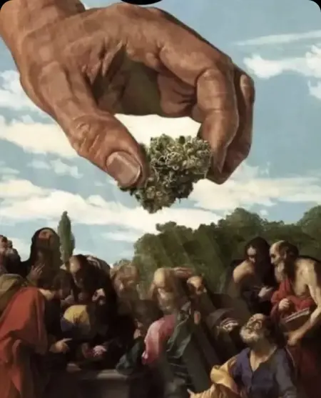 Kush_'s Avatar