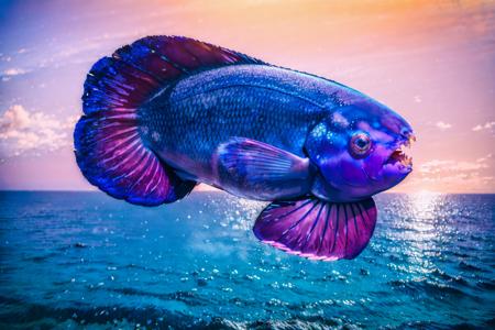 (masterpiece, best quality:1.2), ultra-detailed, ocean Blue, pink, and purple EdobFish, (realistic:1.5), <lora:EdobFish_v1.0:1>