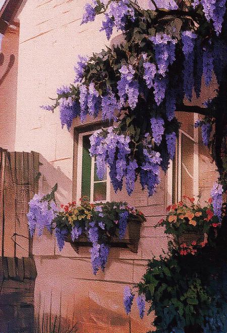 The overall atmosphere of the scene is one of tranquility, natural beauty, and a sense of timeless charm. The interplay of the vibrant wisteria against the muted tones of the house creates a visually striking and emotionally evocative image. The scene suggests a peaceful dwelling, embraced by nature's beauty, a place where the senses are awakened by the sight and imagined fragrance of the abundant blooms. The meticulous care of the window boxes further emphasizes a connection between the inhabitants and their surroundings, highlighting a love for beauty and detail. The composition should evoke a feeling of serenity and wonder, capturing the magical essence of a house adorned by the full glory of a blooming wisteria. The lighting should be soft and even, avoiding harsh shadows to emphasize the delicate beauty of the flowers and the gentle character of the dwelling. The focus should be sharp on the wisteria and the architectural details it embraces, drawing the viewer into this enchanting tableau.