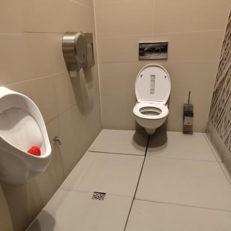 Public male toilet V1