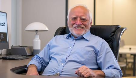 Hide the Pain Harold, Flux.1 D LoRA v1.0