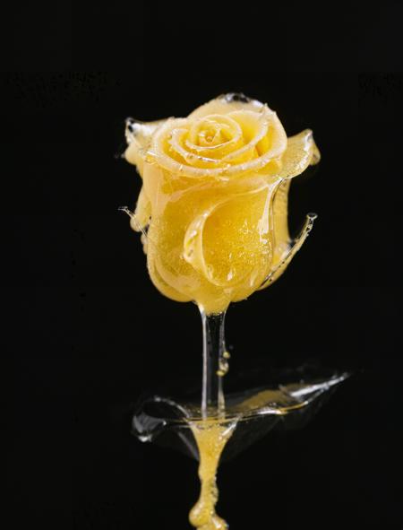 Hash Rosin v1.0