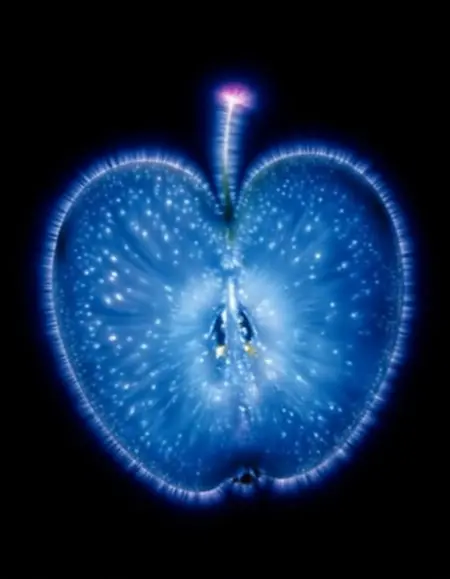 Aural Kirlian Photography