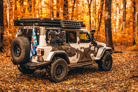 jeep-forest-3.jpg