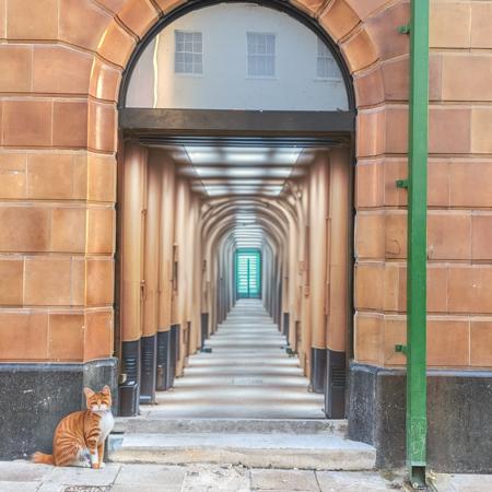 photo of a ginger cat sitting, style by GingerTomCat