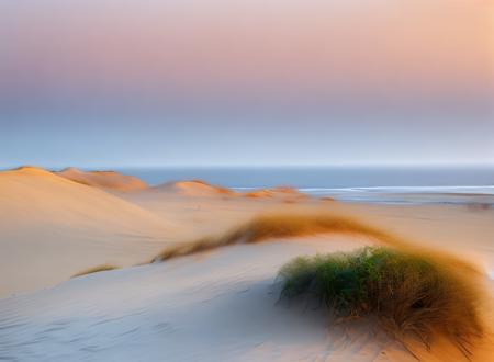 srdg sea sunset beach sand with green grass desert with fog  ocean chair with umbrella on the beach 