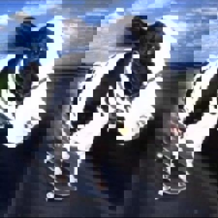 gr1mm6's Avatar