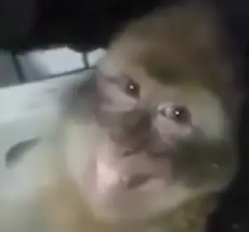 ouroh's Avatar