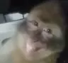 ouroh's Avatar