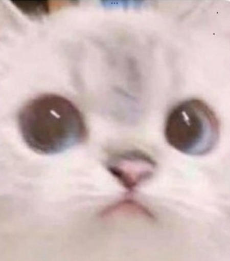 lavishpanther's Avatar