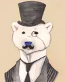 toadhall's Avatar
