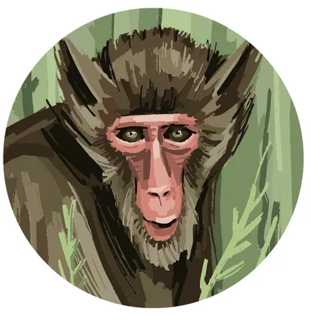 40997951leon1405351's Avatar