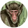 40997951leon1405351's Avatar