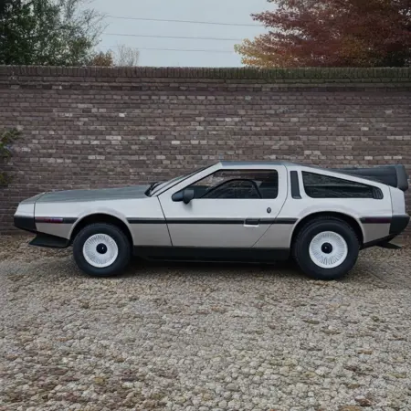 1981 Delorean/Back to the future