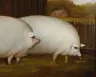 MayIhavesomeSlops's Avatar