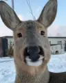Wiggler6788's Avatar