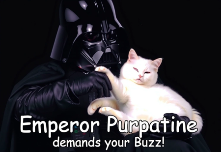 Darth Vader is petting a white cat laying in his lap.
Caption: "Emperor Purpatine demands your Buzz!" written in a playful, rounded font