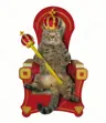 Jockstt09w's Avatar
