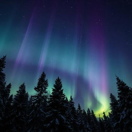 Ultra-realistic, breathtaking night sky, swirling northern lights, shades of green, purple, and blue.  glowing aurora borealis, sharply detailed, mesmerizing night sky, photography, flattering lighting, professional, engaging, compelling composition, winter, snow, Coniferous trees,