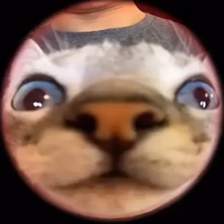NikkiWolfess's Avatar