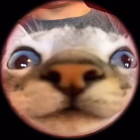 NikkiWolfess's Avatar