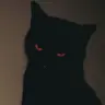 daystar420's Avatar