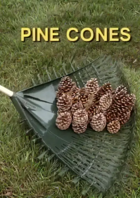 SDXL - Wonder-Rake 5000