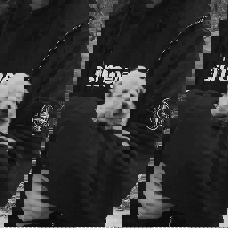 Lorafans92 Lorafans92_v1